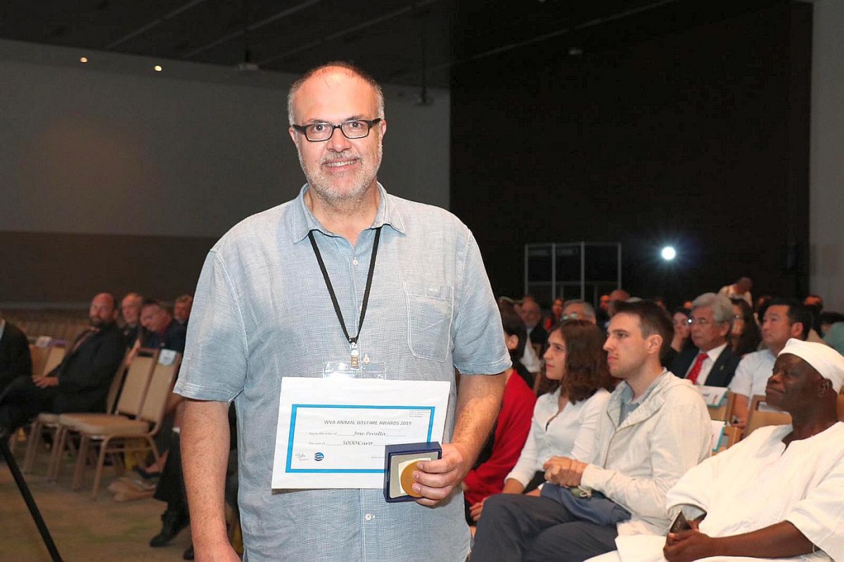 José M. Peralta con el Premio de Bienestar Animal concedido por la WVA en el Congreso Mundial de la Veterinaria de Costa Rica.