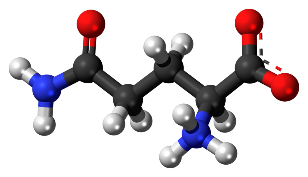 Modelo de la molécula de glutamina (isómero L-glutamina), uno de los 20 aminoácidos usados para construir proteínas.