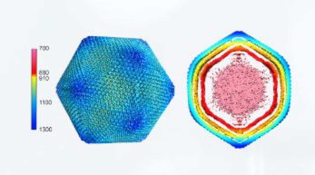 A la izquierda, la representación de la cápside más externa del VPPA y a la derecha el virus cortado en la parte delantera y trasera mostrando las capas internas coloreadas por la distancia radial (cápside externa, en azul; membrana interna icosaédrica, en amarillo; cápside interna , en rojo; nucleoide con genoma, en rosa; la membrana pleomórfica más externa no está representada). La escala de colores con los números indica los radios y está en Angstroms.