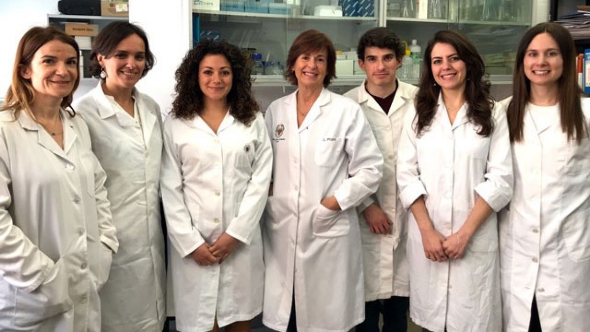 Equipo de investigación Pet Parasite Lab de la Universidad Complutense de Madrid.