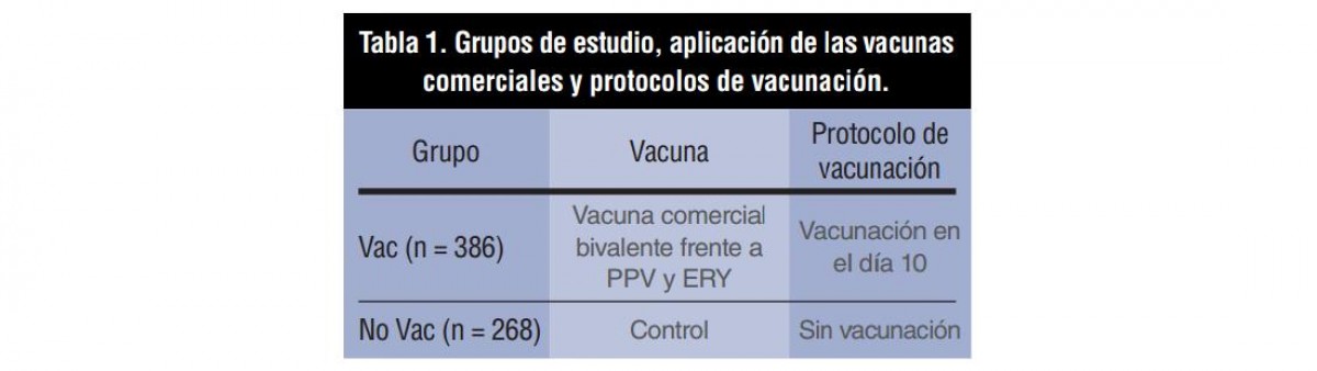 Tabla 1: Grupos de estudio, aplicación de vacunas comerciales y protocolos de vacunación.