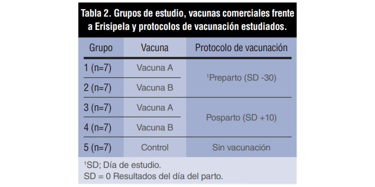 Tabla 2: Grupos de estudio, vacunas comerciales frente a Erisipela y protocolos de vacunación estudiados.
