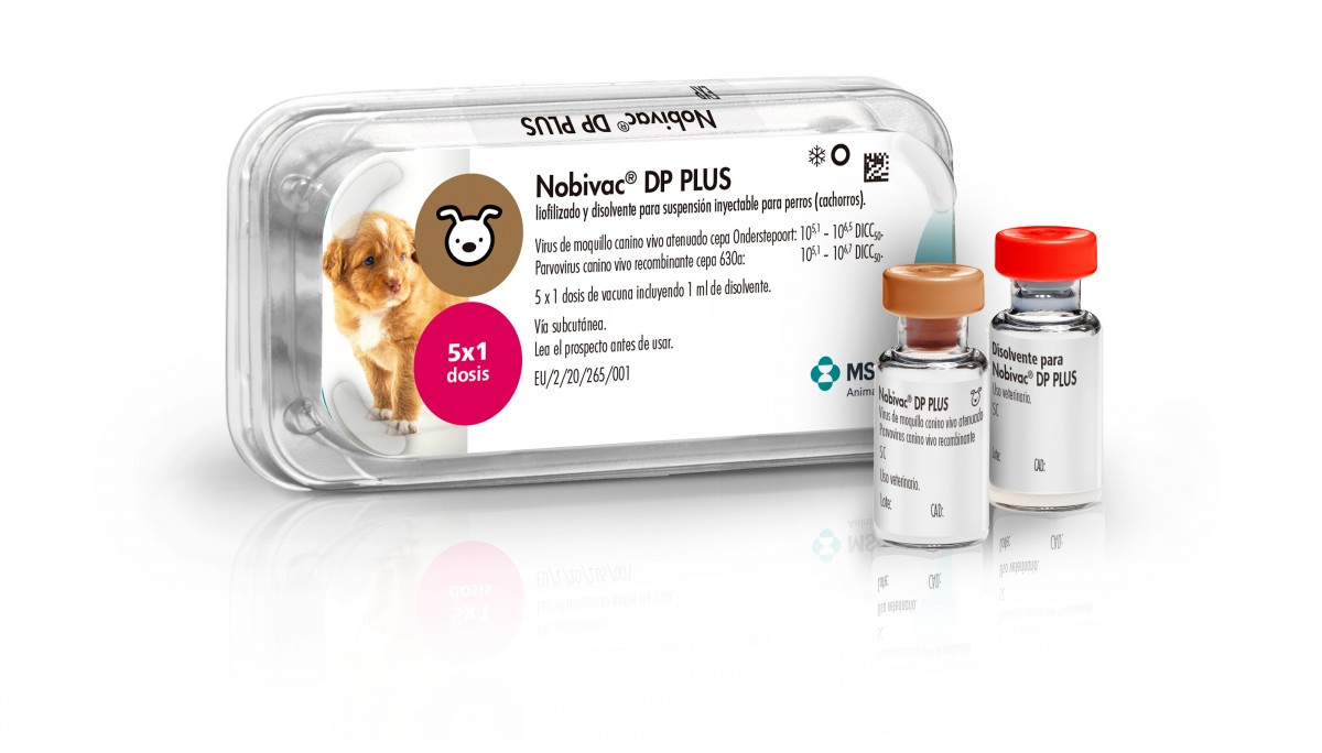 Agencia de viajes Meditativo Sip MSD Animal Health presenta la nueva vacuna Nobivac DP PLUS, un avance  revolucionario en la protección de los cachorros | PortalVeterinaria