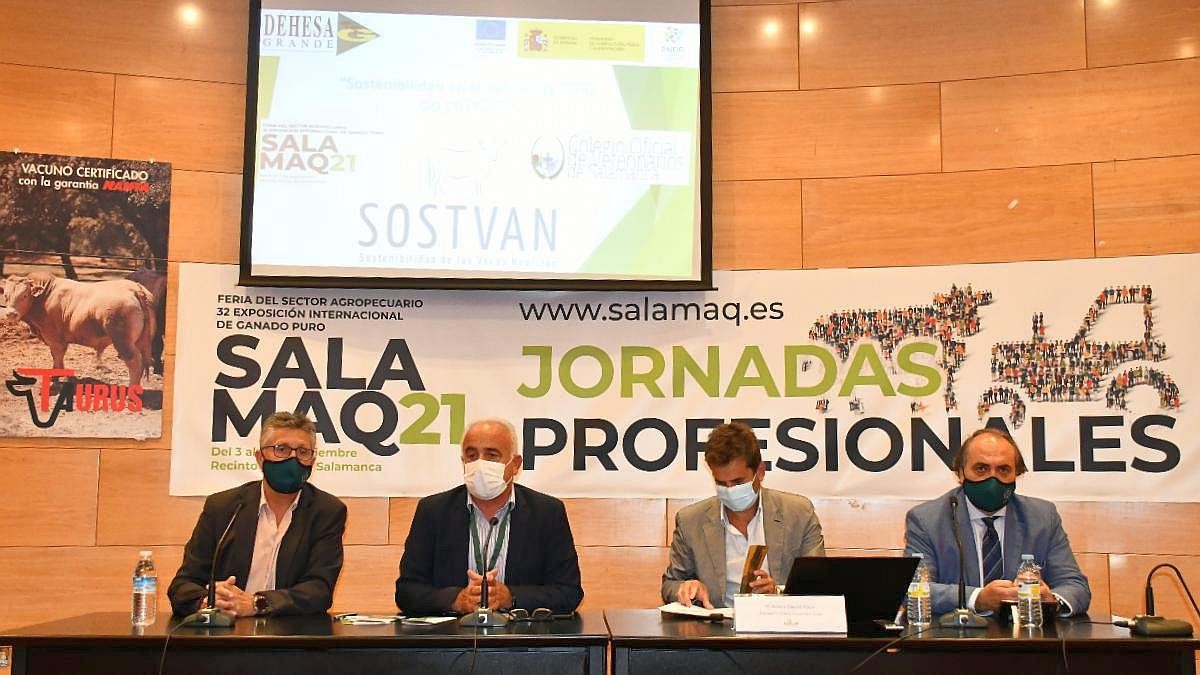 Un momento de la presentación del proyecto SOSTVAN, en Salamaq 2021.