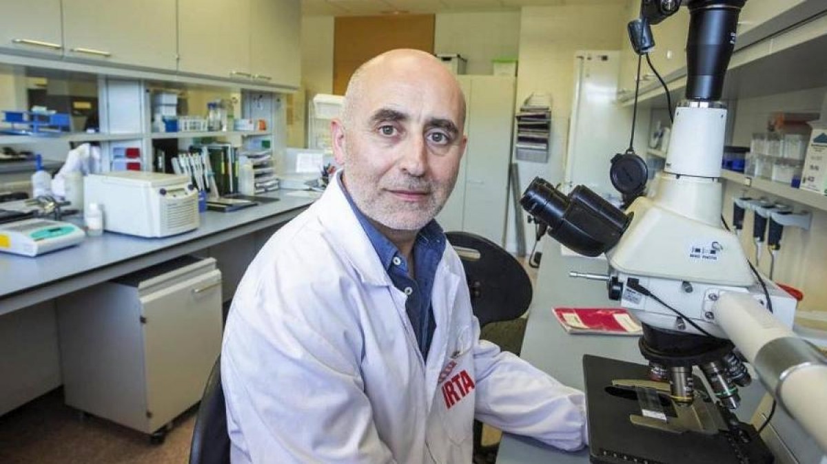 Joaquim Segalés encabeza el ránking de investigadores españoles en Ciencias Veterinarias por su índice h.