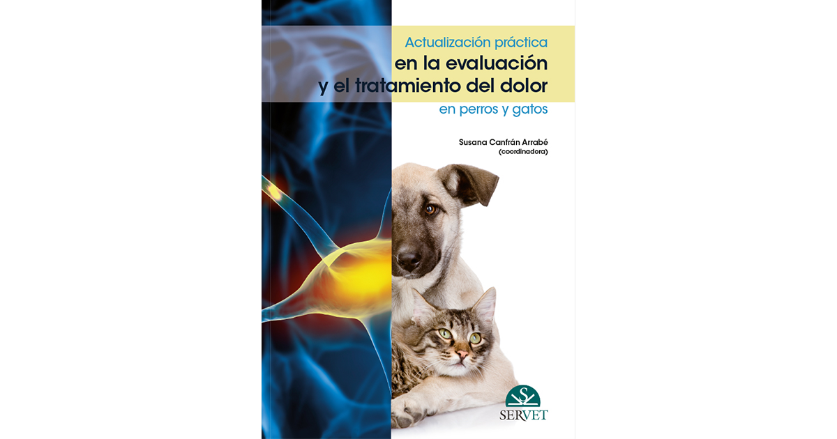 El tratamiento de imepitoin y fenobarbital es bien tolerado en perros epilepsia resistente a fármacos | PortalVeterinaria