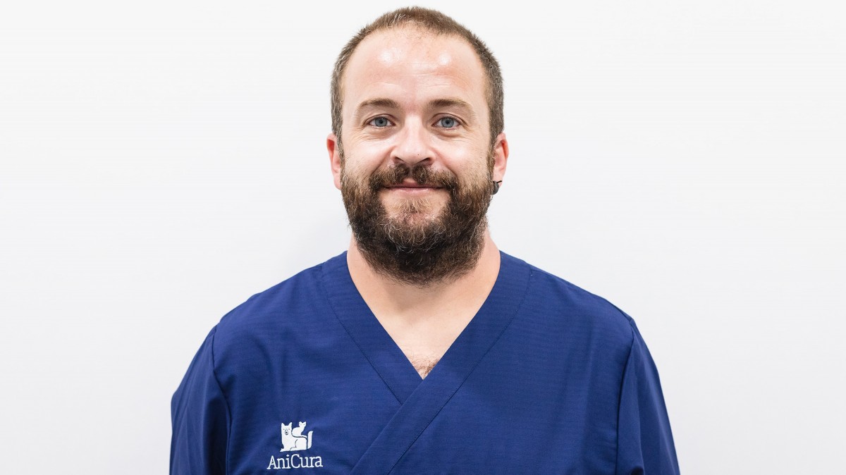Juan Ramón Arrazola Sánchez, veterinario en el Servicio de Cirugía y Mínima Invasión de AniCura Valencia Sur Hospital Veterinario.