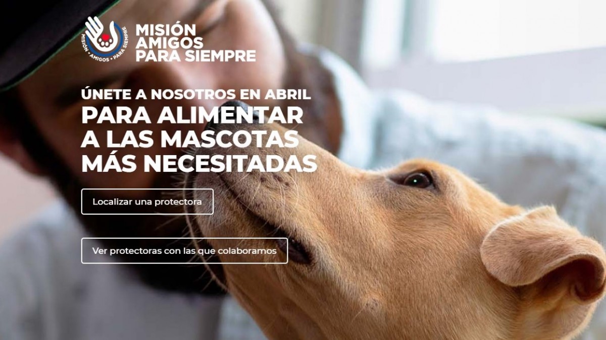 básico marido presupuesto Regresa la campaña #MisionAmigosParaSiempre para ayudar a los perros y  gatos de protectoras | PortalVeterinaria