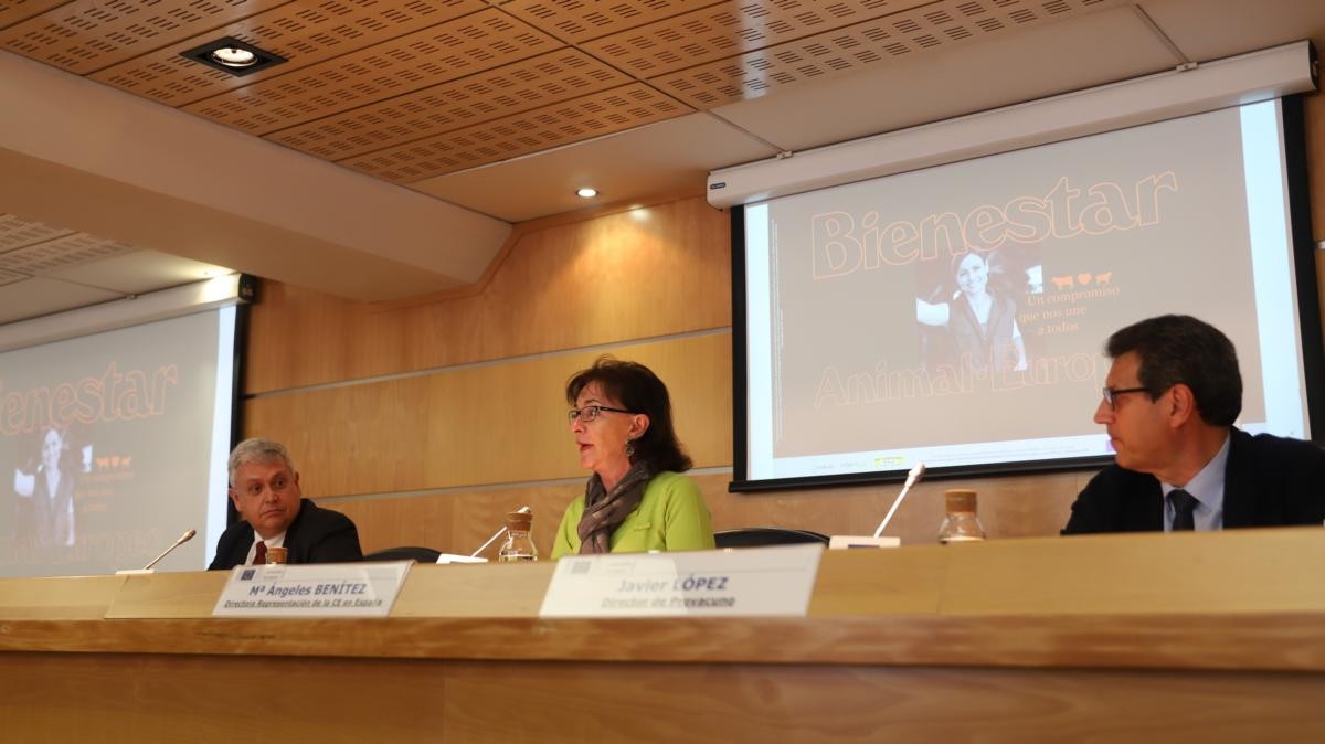 María Angeles Benítez, directora de la Representación de la Comisión Europea en España, durante la presentación.