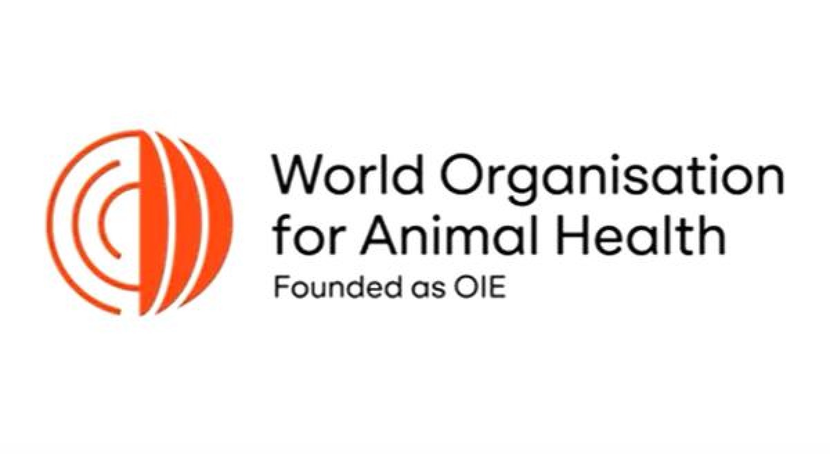 La nueva imagen corporativa de la Organización Mundial de Sanidad Animal.