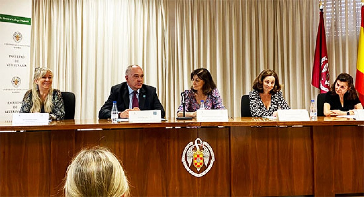 Ana Pérez Fuentes, Enrique Jodra, Araceli Manjón-Cabeza, Consuelo Serres e Isabel Palomera, durante las jornadas (imagen: Colegio de Madrid).