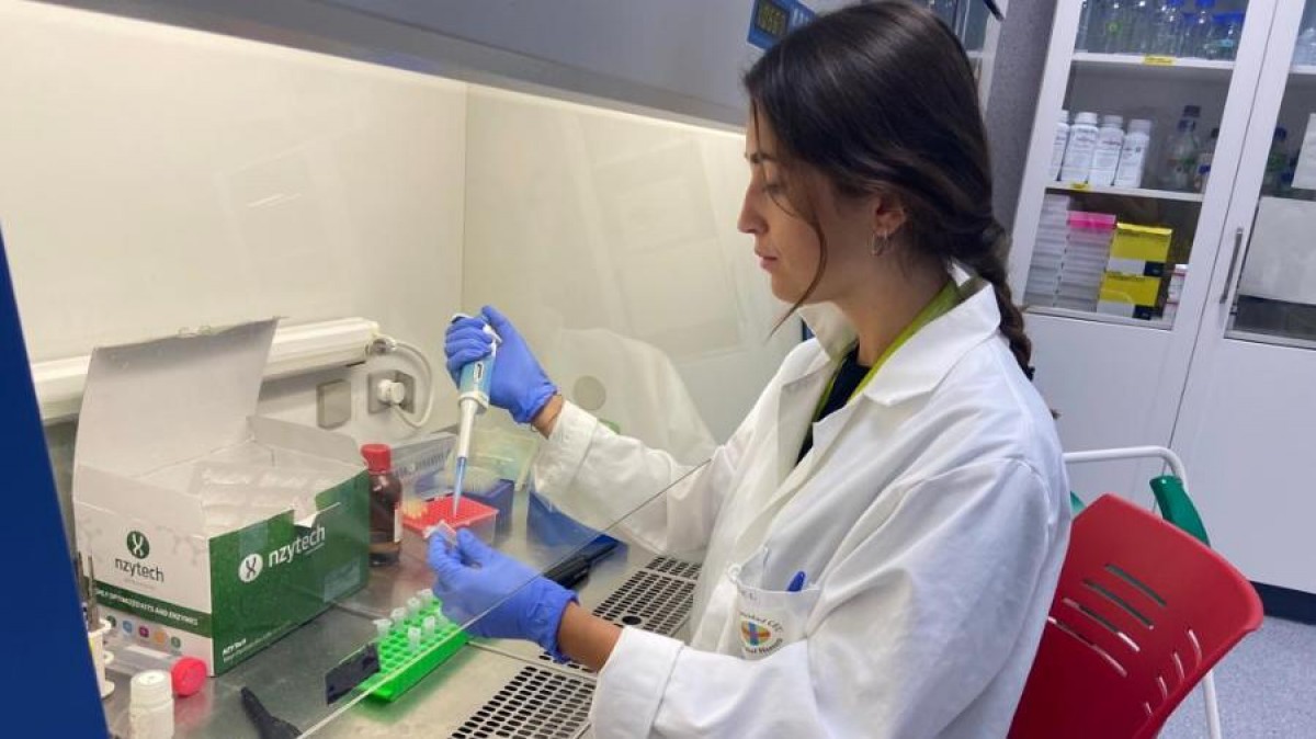 La doctoranda de la Escuela CEINDO-CEU Raquel Toledo aborda en su tesis el estudio epidemiológico de la fiebre Q y su impacto reproductivo en los rumiantes.