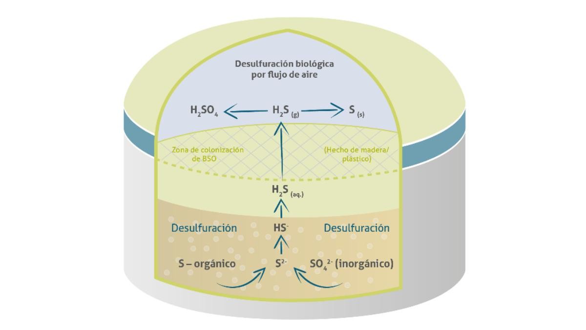 Fig. 1: Manifestaciones importantes del azufre en reactores de biogás. La formación de sulfuro de hidrógeno es llevada a cabo por bacterias anaeróbicas.