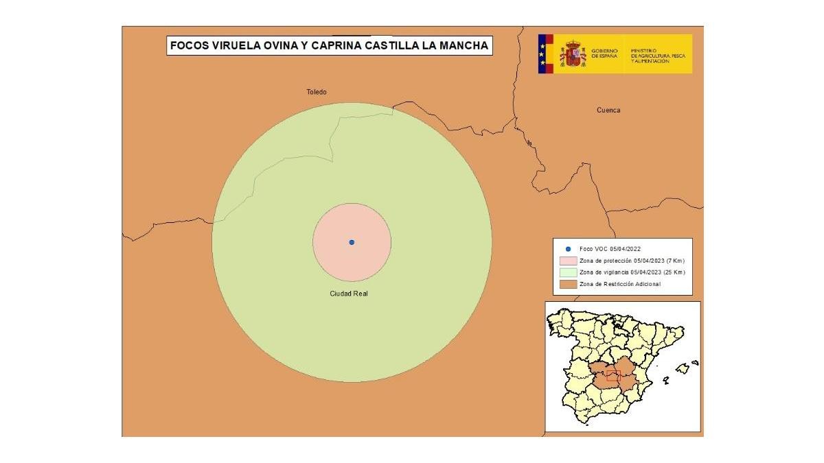 Localización de la explotación afectada por VOC en la provincia de Ciudad Real. (Fuente: RASVE)
