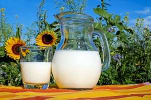La leche de vaca es un alimento nutricionalmente rico y muy complejo a nivel bioquímico.