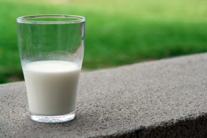 El consumo regular y moderado de productos lácteos no presenta ningún riesgo para la salud.