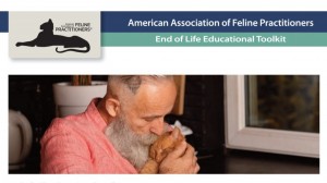 End of Life Educational Toolkit. AAFP.
