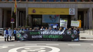Una imagen de la Segunda Manifestación Veterinaria celebrada en Madrid el pasado 3 de abril.