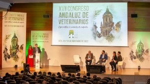 Acto de inauguración del XVII Congreso Andaluz de Veterinarios Especialistas en Animales de Compañía. Fuente: CACV.