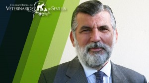 El nuevo presidente del Colegio de Veterinarios de Sevilla, Santiago Sánchez-Apellániz García.