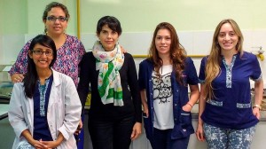 El grupo de trabajo formado por Lucía Cisneros, Lucila Saavedra, Silvina Fadda, Ayelén Baillo y Alejandra Orihuel.